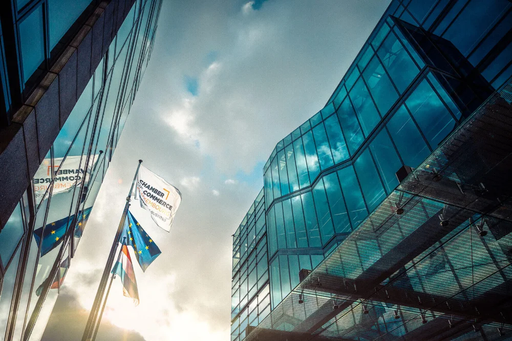 home-background.jpg